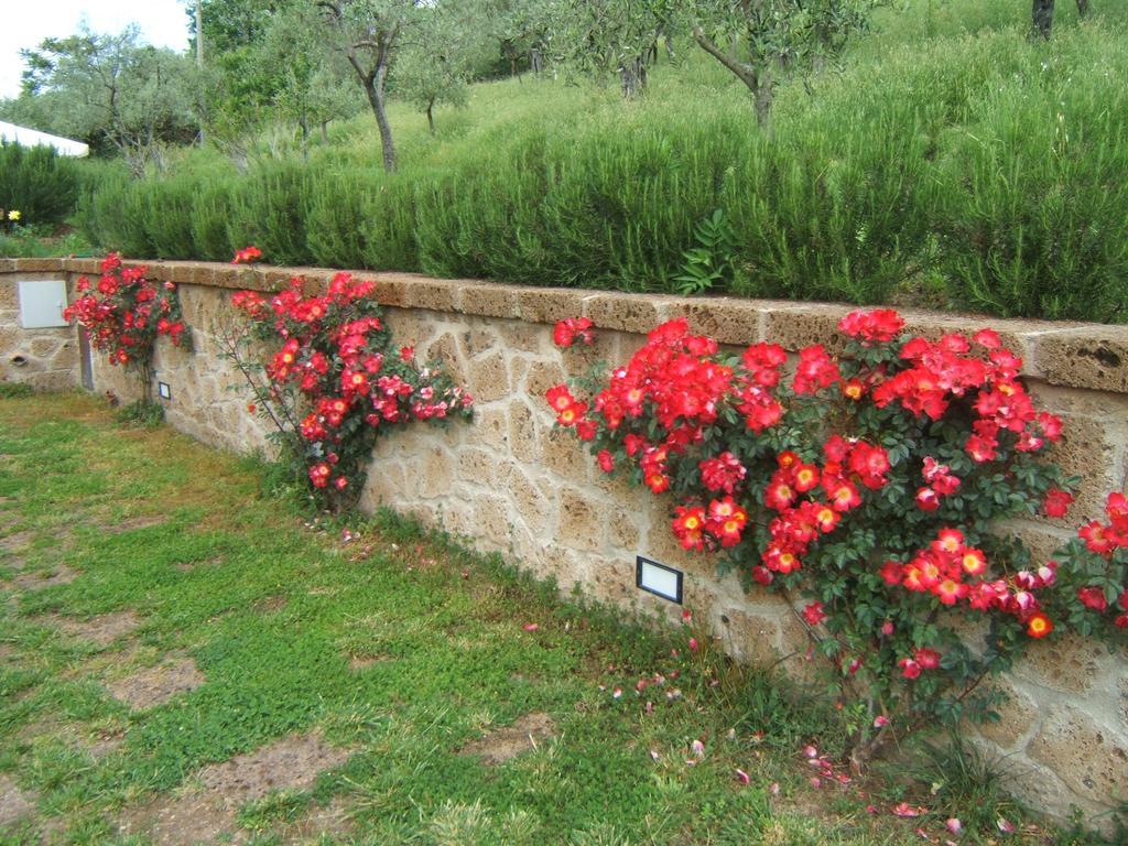 B&B Casaselita Orvieto Extérieur photo